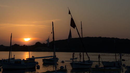 Sailboats in marina at sunset