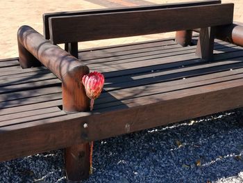 High angle view of bench on footpath