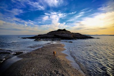 Scenic view of beach against sky