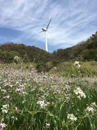 Scenic view of flowering plants on field against sky
