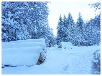 Scenic view of snow covered landscape