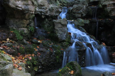 Scenic view of waterfall in forest