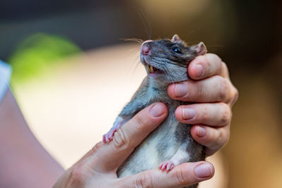 Close-up of person holding hand