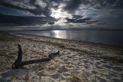 Driftwood on beach against sky during sunset