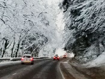 Cars on road by snow covered trees