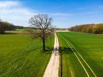 Scenic view of road amidst field against sky