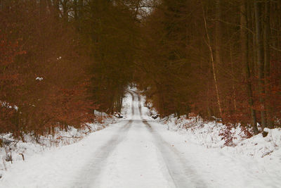 Road amidst snow covered trees in forest