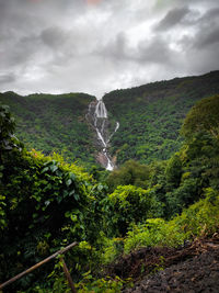 Dhoodhsagar waterfalls 