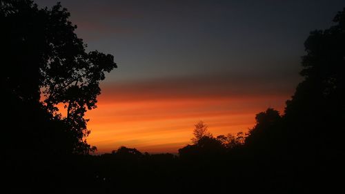 Silhouette of trees at sunset