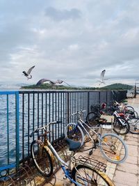 Bicycles on railing against sky