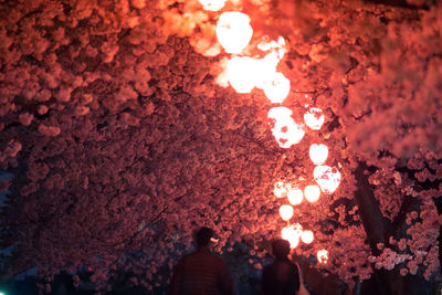 Illuminated lights at night