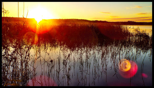 Sunset over lake