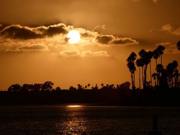 Silhouette palm trees against sky during sunset