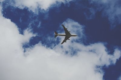 Low angle view of bird flying in sky