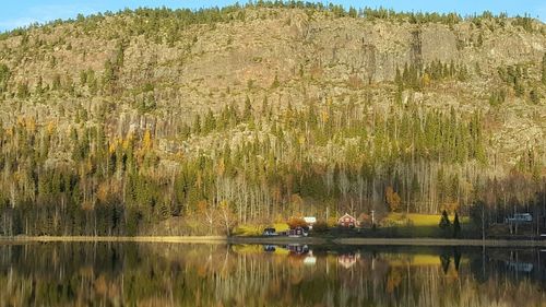 Scenic view of lake by trees