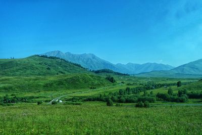 Scenic view of agricultural field against clear blue sky