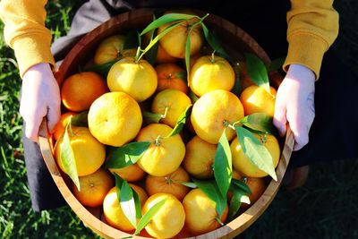 High angle view of farmer with fresh organic mandarin oranges in basket