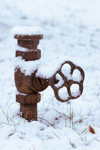 Close-up of snow covered land