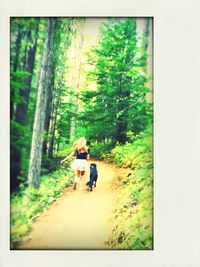 Rear view of people walking on footpath in forest