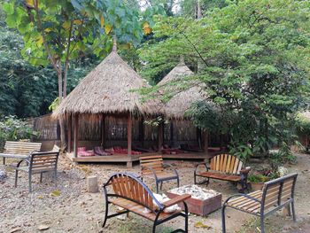 Chairs against trees