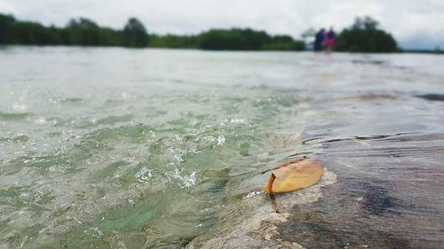 Close-up of water