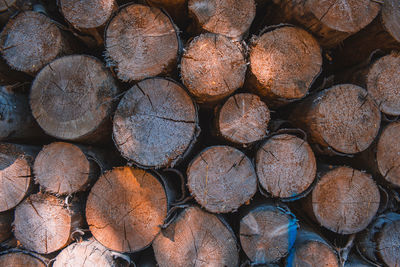 Full frame shot of logs