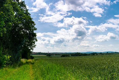 Scenic view of agricultural field against sky