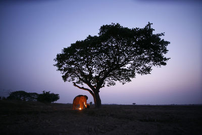 Silhouette tree on field against clear sky at night
