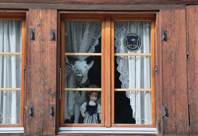 View of cow looking through window