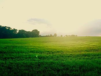 Scenic view of field against sky during sunset