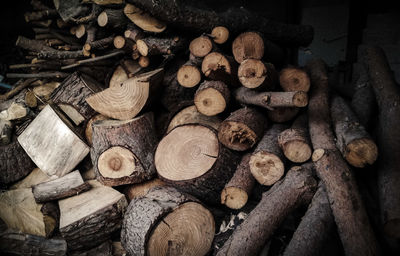 Stack of logs in forest