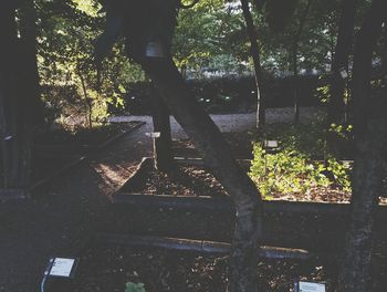 Low section of people standing on tree trunk
