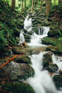 Scenic view of waterfall in forest