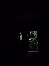 Silhouette of window