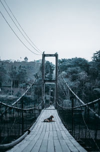 Footbridge by trees against clear sky