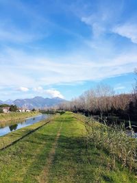 Scenic view of field against sky