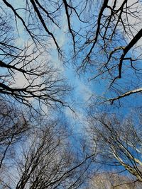 Low angle view of bare tree against clear sky