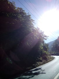 Road amidst trees against sky