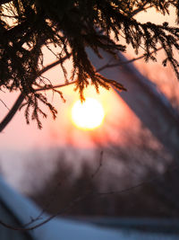 Close-up of silhouette tree against sky during sunset