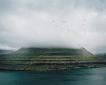 Flock of birds flying over mountain against sky