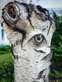 Close-up of animal sculpture on tree stump