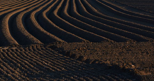 Full frame shot of agricultural field