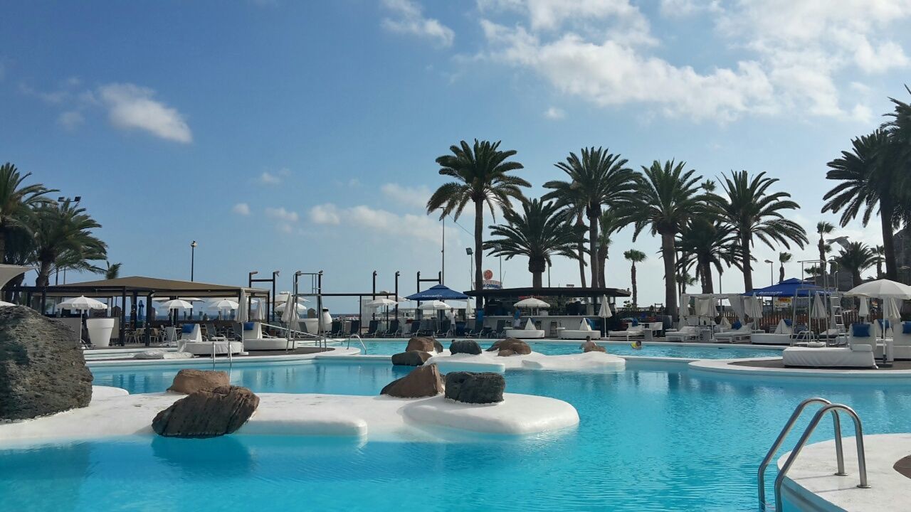 palm tree, sea, water, sky, beach, tree, nautical vessel, horizon over water, cloud - sky, tourist resort, swimming pool, shore, boat, lounge chair, moored, transportation, vacations, cloud, nature, tranquility