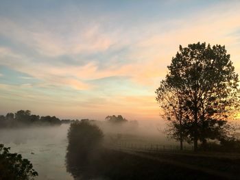 Silhouette trees on field against sky during sunset