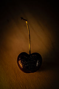 still life photography