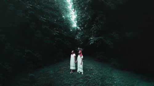 Couple standing by tree in forest