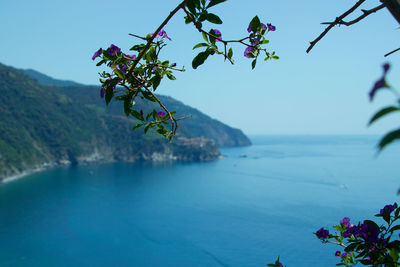 Scenic view of sea against blue sky