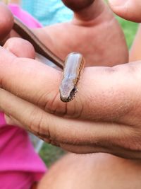 Cropped image of hands holding snake