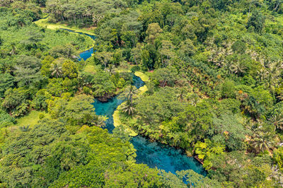 Incredible tourist landscape with a blue river in jungle forests. top view, drone photo. vanuatu.