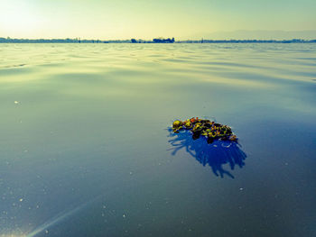 Scenic view of blue sea